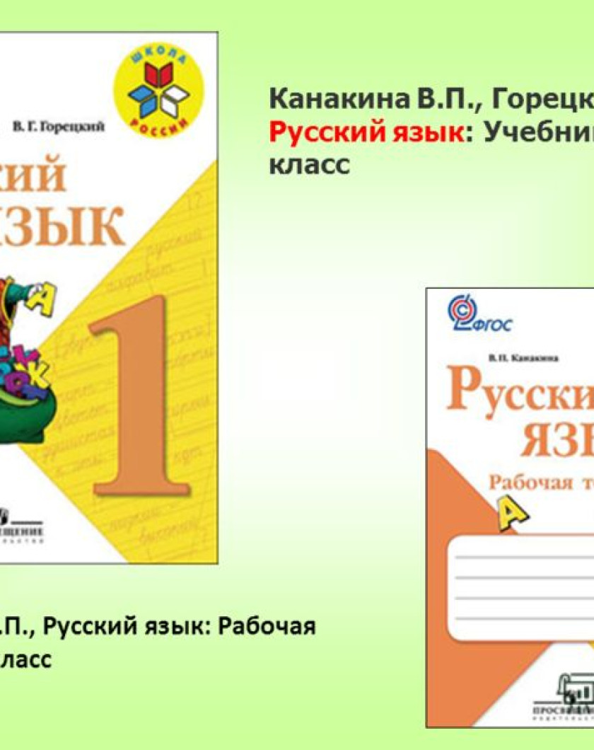 Канакина. Рабочая тетрадь по русскому языку 1 класс школа России. Тетрадь по русскому языку 1 класс школа России Канакина Горецкий. Рабочие тетради рус яз школа России 1 кл. Горецкий УМК школа России 1 класс.
